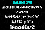 Halden - Hand Brushed SVG Font Duo, a Sans Serif Font by Surplus Type Co (Thumbnail 10 of 12)