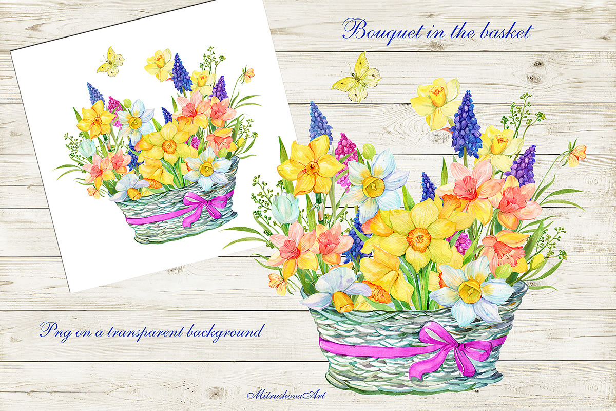 Daffodil  Narcissus  Watercolour, an Illustration by MitrushovaArt (Photo 6 of 7)