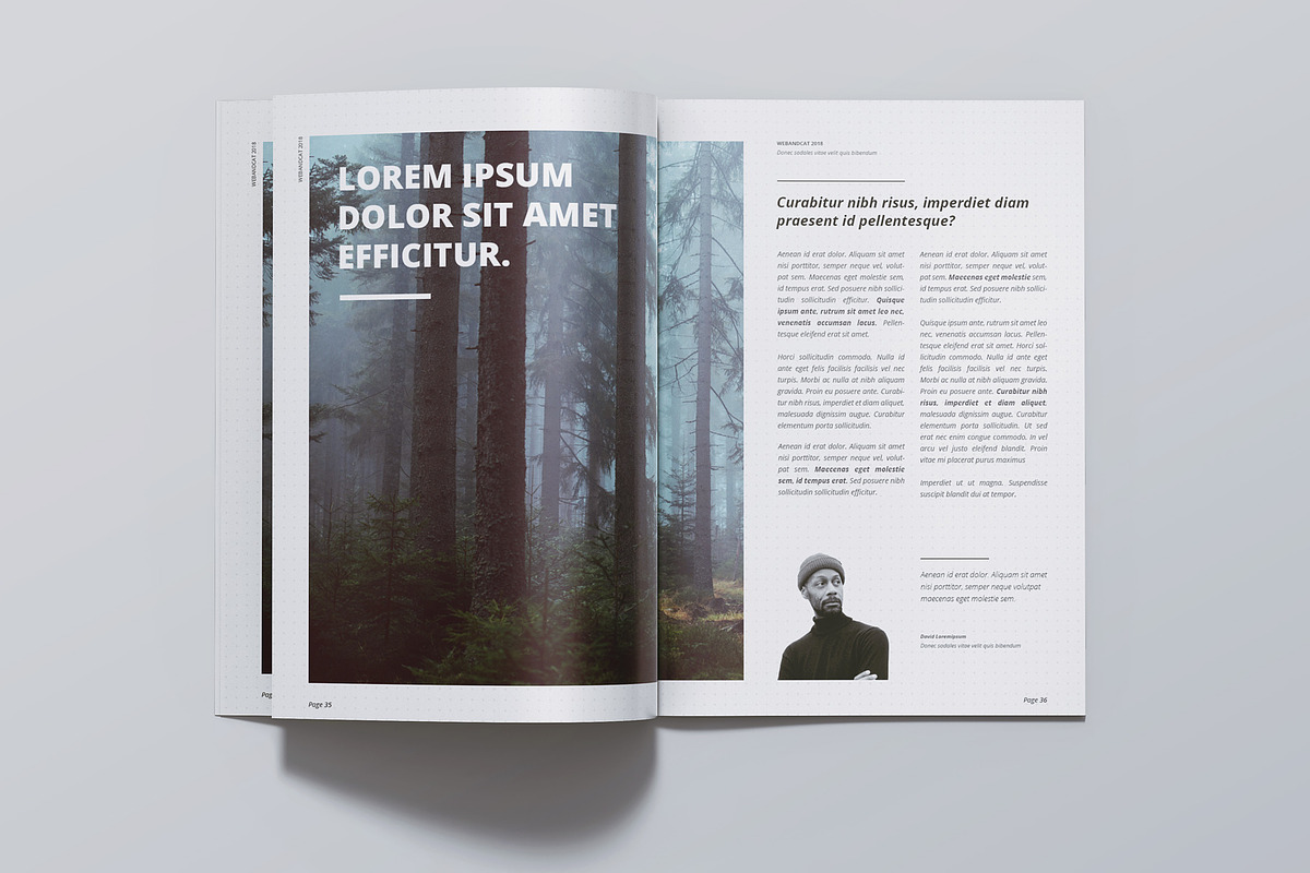 A4 Magazine | Brochure Mock-up, a Books & Magazine Mockup by WebAndCat (Photo 15 of 32)