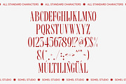 Bergu – Editorial Display Serif, a Serif Font by Sohel Studio (Thumbnail 10 of 10)