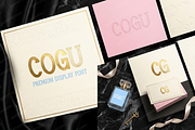 Cogu - Sophisticated Modern Serif, a Serif Font by Astuti Studio (Thumbnail 18 of 23)