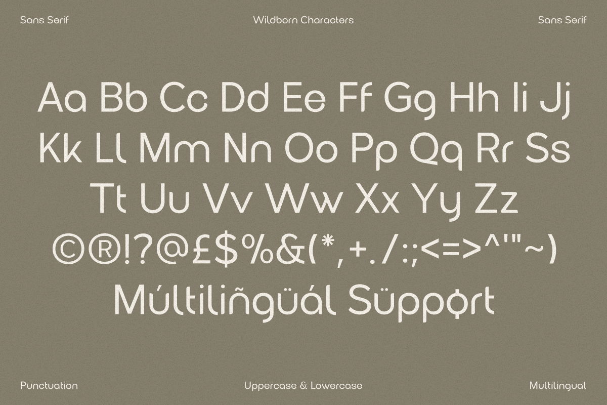 Wildborn - Logo Font, a Sans Serif Font by Umitype (Photo 9 of 11)