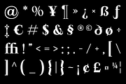 Arviel – Bold Editorial Serif Family, a Serif Font by roomspace creative lab (Thumbnail 12 of 13)