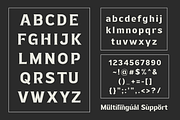 Gildeon - Bold Display Typeface, a Serif Font by Sronstudio (Thumbnail 12 of 12)