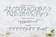 Alexandra Monoline Script, a Script Font by Creatype Studio (Thumbnail 10 of 11)