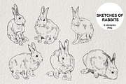 Pencil sketches of rabbit PNG, an Animal Illustration by LOKSKIH (Thumbnail 1 of 5)