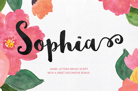 Sophia Hand-lettered