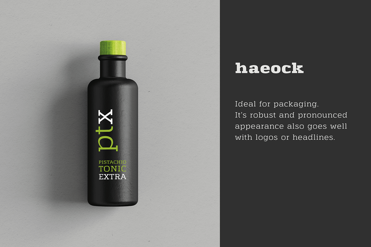 Haeock Family, a Slab Serif Font by vectalex (Photo 3 of 6)