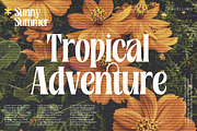 Rosamila Display, a Serif Font by Stripes Studio (Thumbnail 3 of 11)