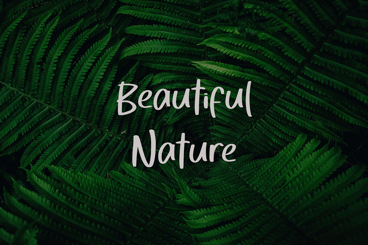 THIANA Handwriting Brush Font, a Handwritten Font by NTC Graphic (Photo 6 of 8)