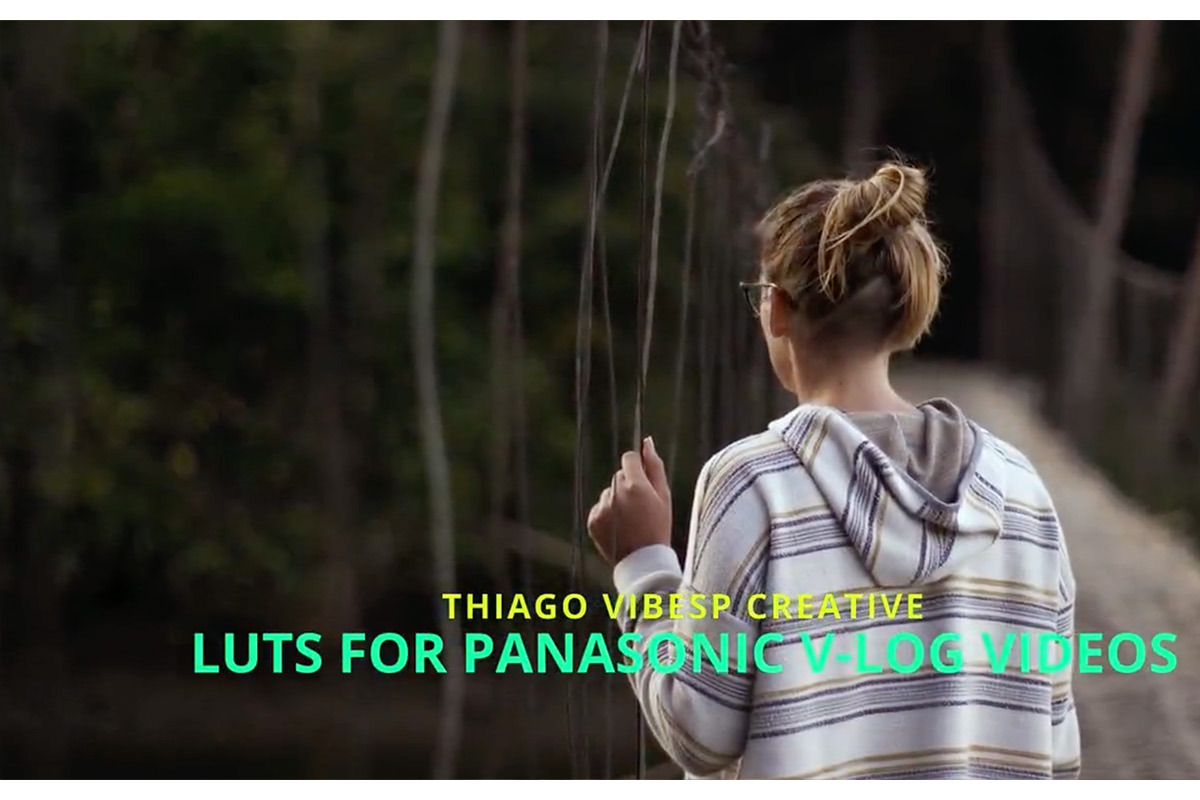 Film Looks Panasonic V-Log LUTs, a Preset Add-On by Creative House (Photo 3 of 4)