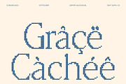 CS Reggie Disco, a Serif Font by Craft Supply Co. (Thumbnail 7 of 8)