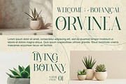 Sesbania - Modern Minimal Branding, a Serif Font by Qweera Studio (Thumbnail 4 of 12)