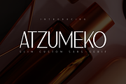 Atzumeko Slim Font, a Sans Serif Font by Monoletter Studio (Thumbnail 1 of 4)
