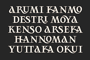 Rollions - Display Serif Font, a Serif Font by Zarma Type (Thumbnail 5 of 12)