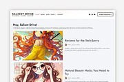 Salient Drive WordPress Theme, a WordPress Template by Your Theme Shop (Thumbnail 1 of 9)