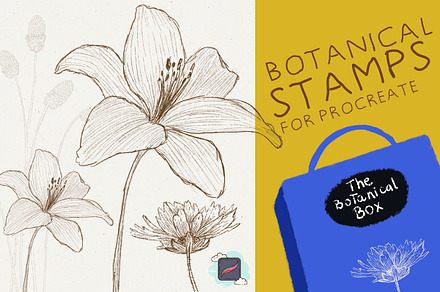 The Procreate Botanical Box