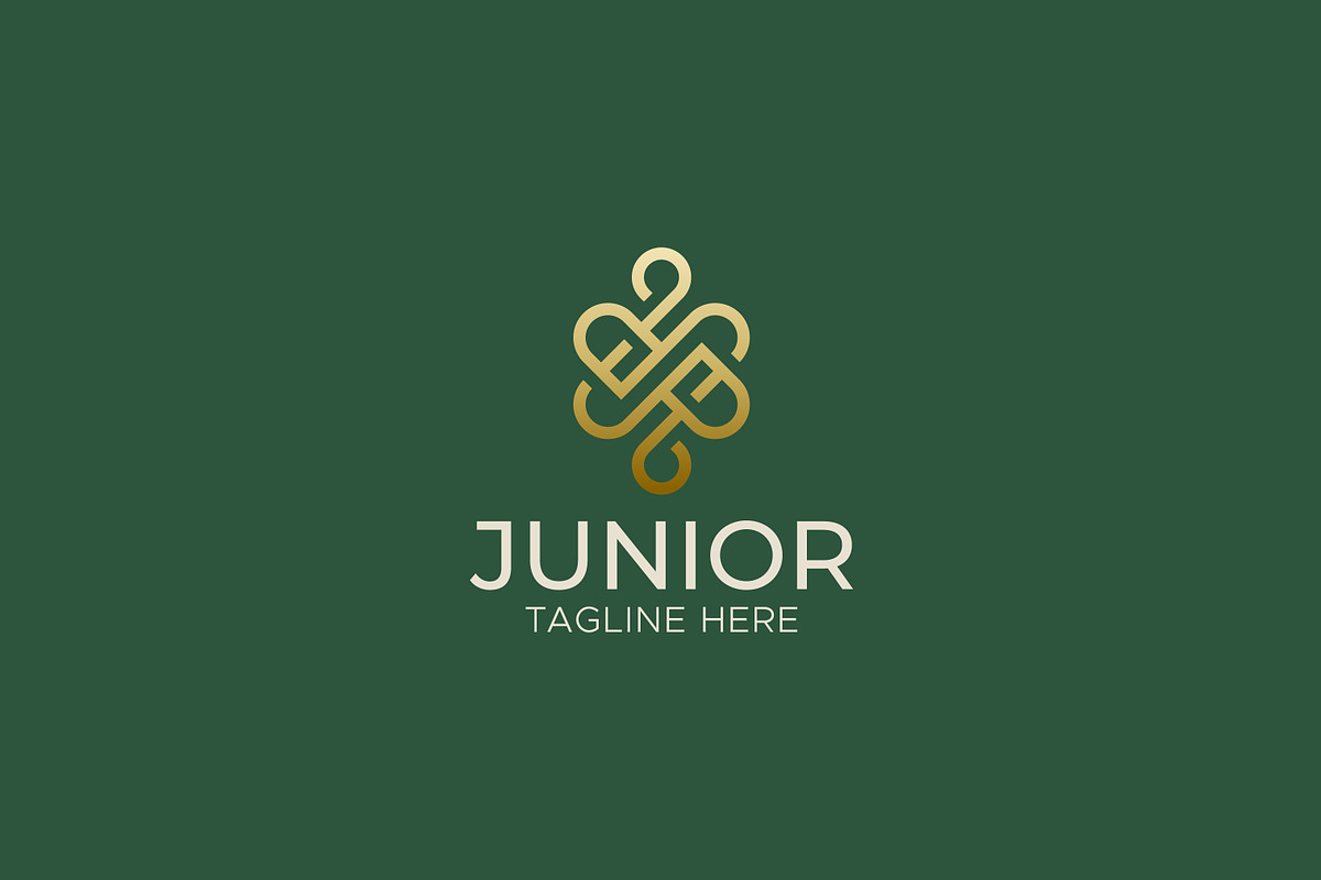 JR Logo Monogram Concept Luxury, a Branding & Logo Template by Signatoro (Photo 1 of 3)