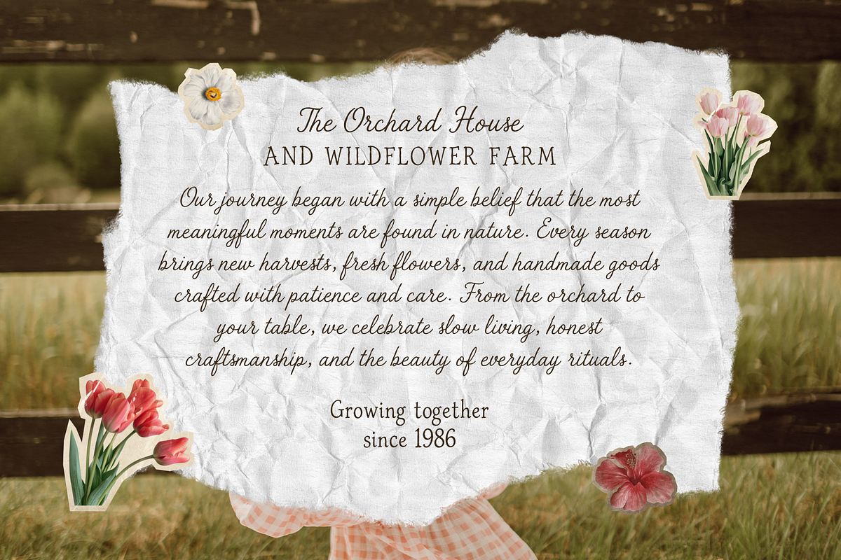 The Sunny Field Font Duo, a Script Font by Creacy Studio (Photo 3 of 10)