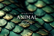 Wildlife Animal Textures Background, a Texture Graphic by MergeIdea (Thumbnail 1 of 3)