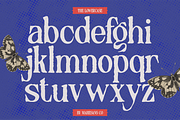 Distressed Seroze – Elegant Serif, a Serif Font by Mahesans Co (Thumbnail 8 of 10)
