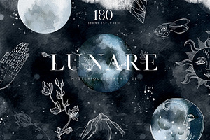Lunare. Mysterious Graphic Set, an Animal Illustration by Muse Artist