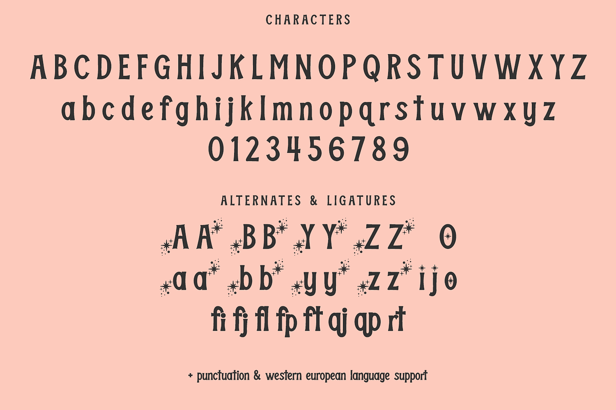 Sanderson Display Font, a Serif Font by Beck McCormick (Photo 10 of 10)