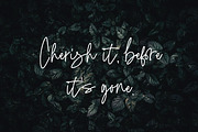 Gracelin Signature, a Handwritten Font by Eltypesstudio (Thumbnail 10 of 10)