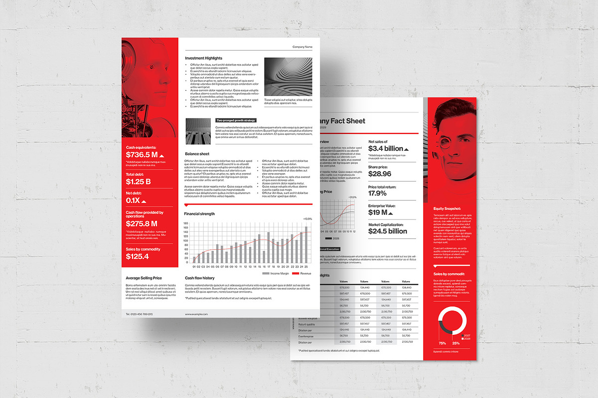 Fact Sheet Template, a Flyer Template by BrandPacks (Photo 4 of 5)