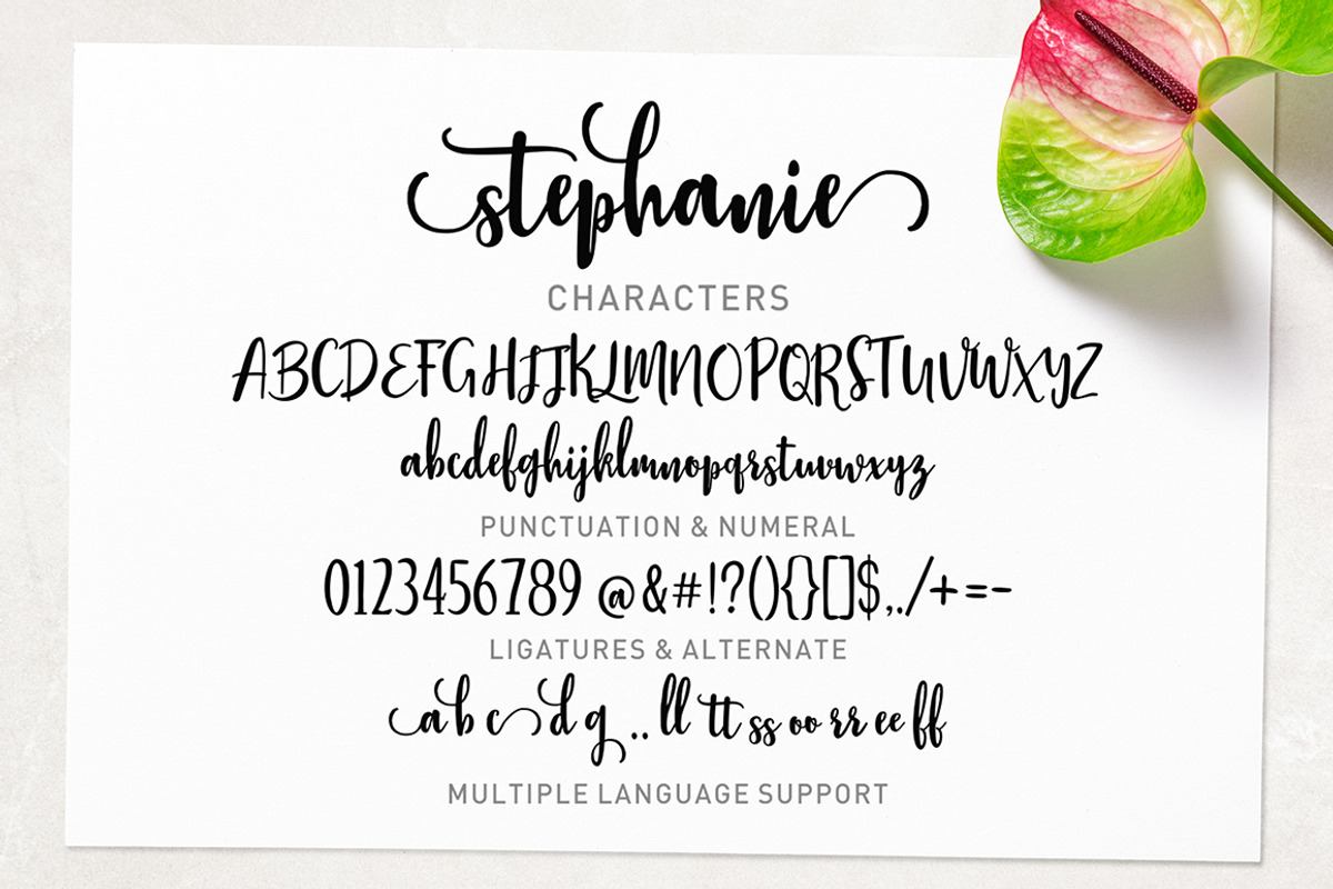 Stephanie Script, a Script Font by Typehill (Photo 12 of 12)