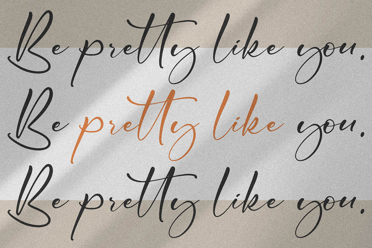 Cicaero, a Script Font by Integritype Studio (Photo 13 of 15)
