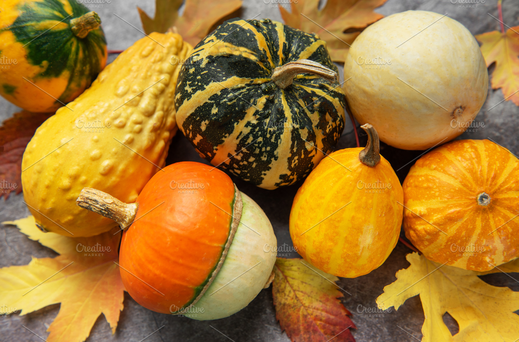Decorative gourds and autumn leaves reflecting harvest season, a Food & Drink Photo by Olena Rudo