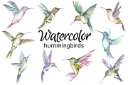 Hummingbird watercolor clipart, a Background Graphic by GoodFairyClipArt (Thumbnail 1 of 2)