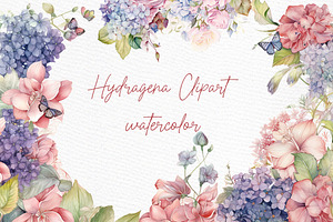 Hydrangea Flowers Clipart Watercolor