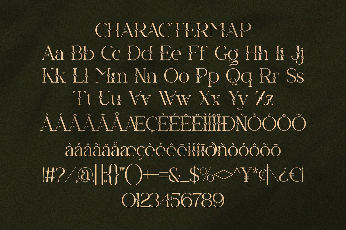 Equira || Modern Classy Serif Font, a Serif Font by Ermedia Studio (Photo 10 of 10)