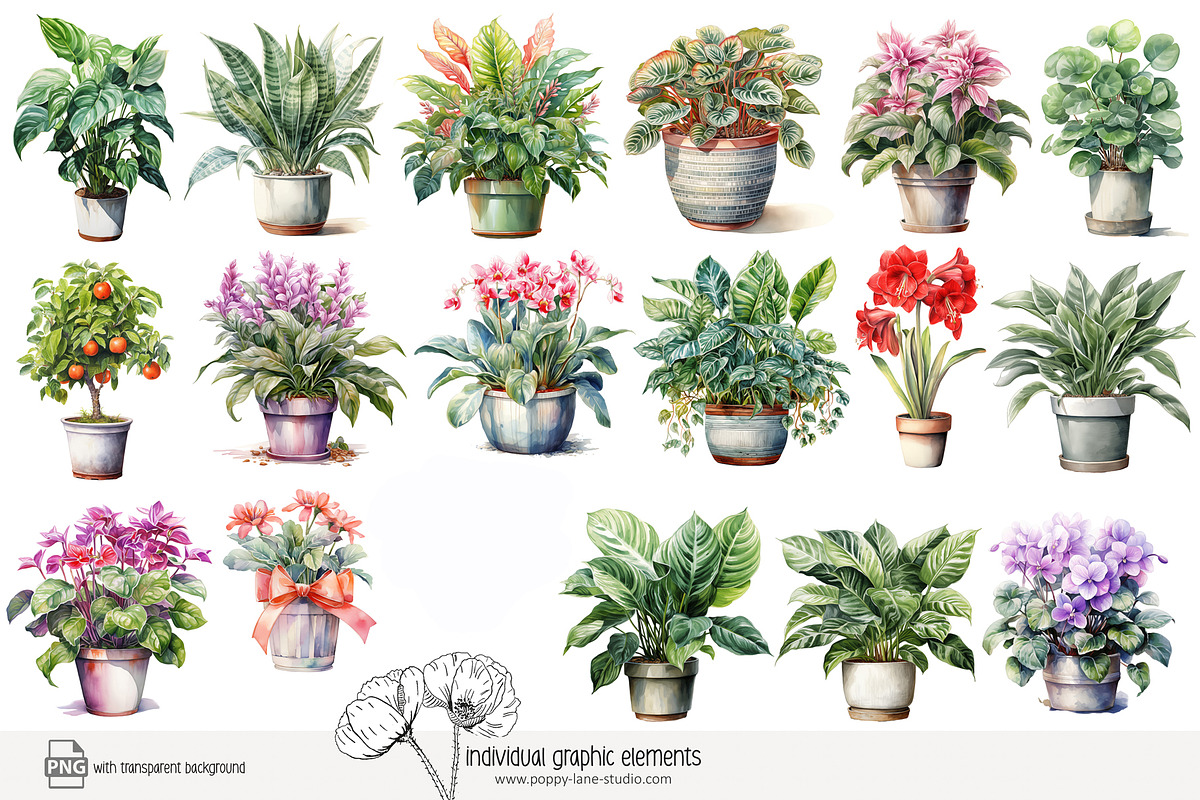 100 watercolor house plants clip art, a Seasonal Illustration by Poppy Lane Studio (Photo 7 of 12)
