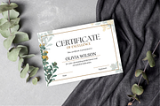 5 Organic Certificates Templates, a Templates & Theme by TemplateCastleStore (Thumbnail 4 of 9)