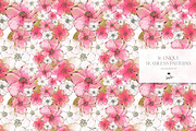 Cherry Blossoms Japanese Patterns, a Pattern Graphic by KaramfilaS (Thumbnail 12 of 23)