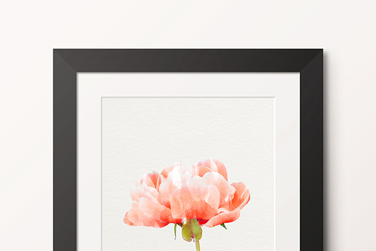 Watercolor Flowers - Peonies, a Graphic by TheSeventhDesire (Photo 10 of 10)