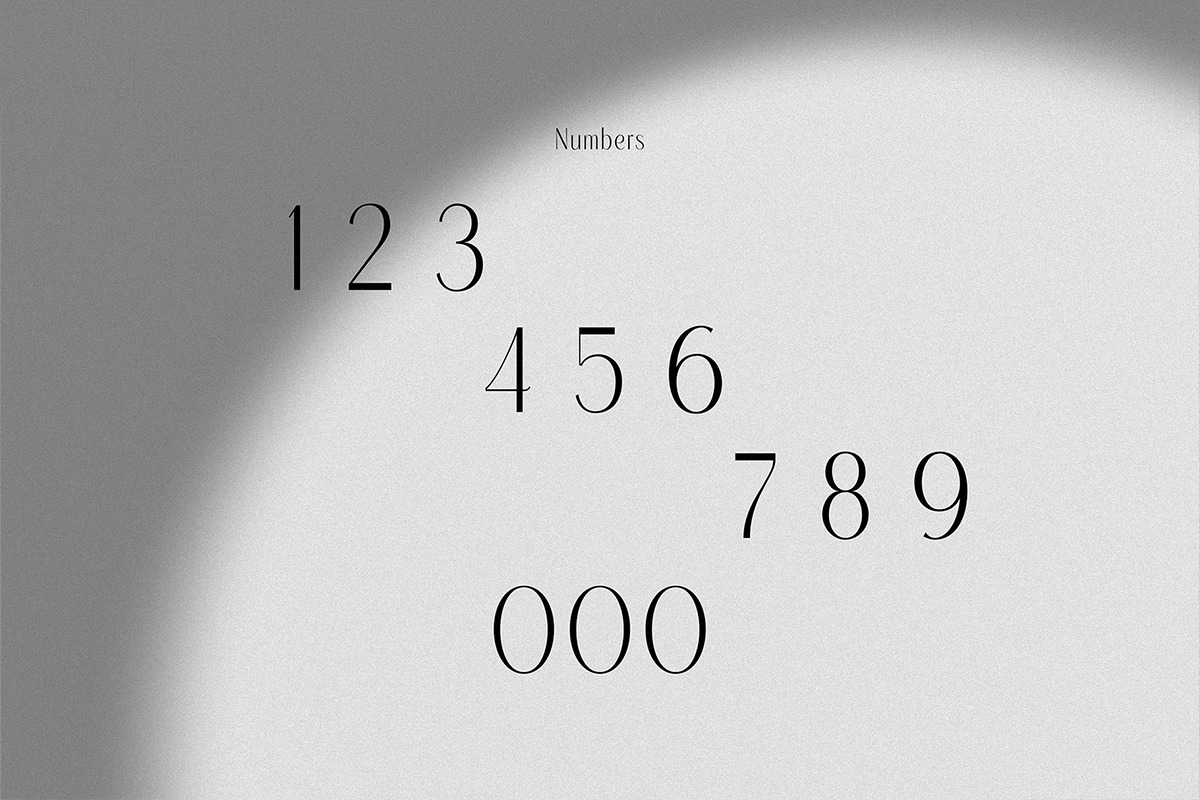 Emeline - Elegant Serif Font, a Serif Font by n.A Studio (Photo 5 of 8)
