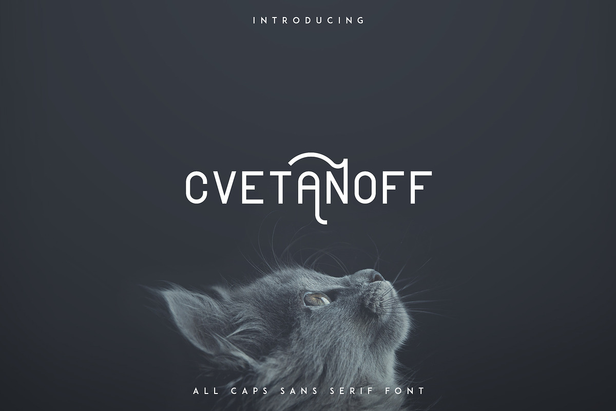 Massive Font Bundle - 197 fonts, a Script Font by VP Fonts (Photo 53 of 55)
