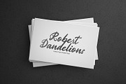 Stranger - Handwritten Font, a Script Font by StringLabs (Thumbnail 8 of 14)