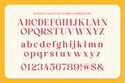 Hunger Minute - Modern Stylish Swash, a Serif Font by Shakira Studio (Thumbnail 9 of 10)
