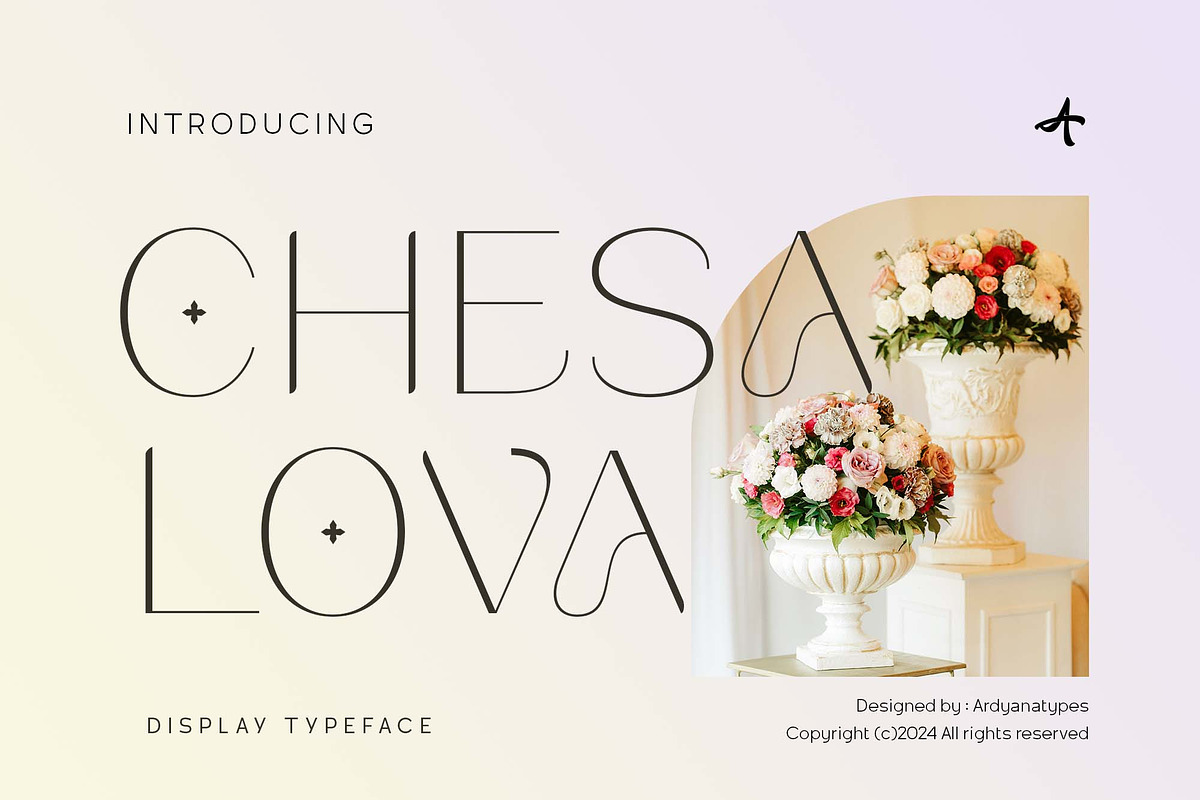 Chesalova - Unique Typeface, a Sans Serif Font by Ardyanatypes (Photo 1 of 12)