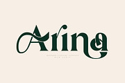 Arina Ligature Serif Typeface, a Serif Font by yaqublekker (Thumbnail 1 of 9)
