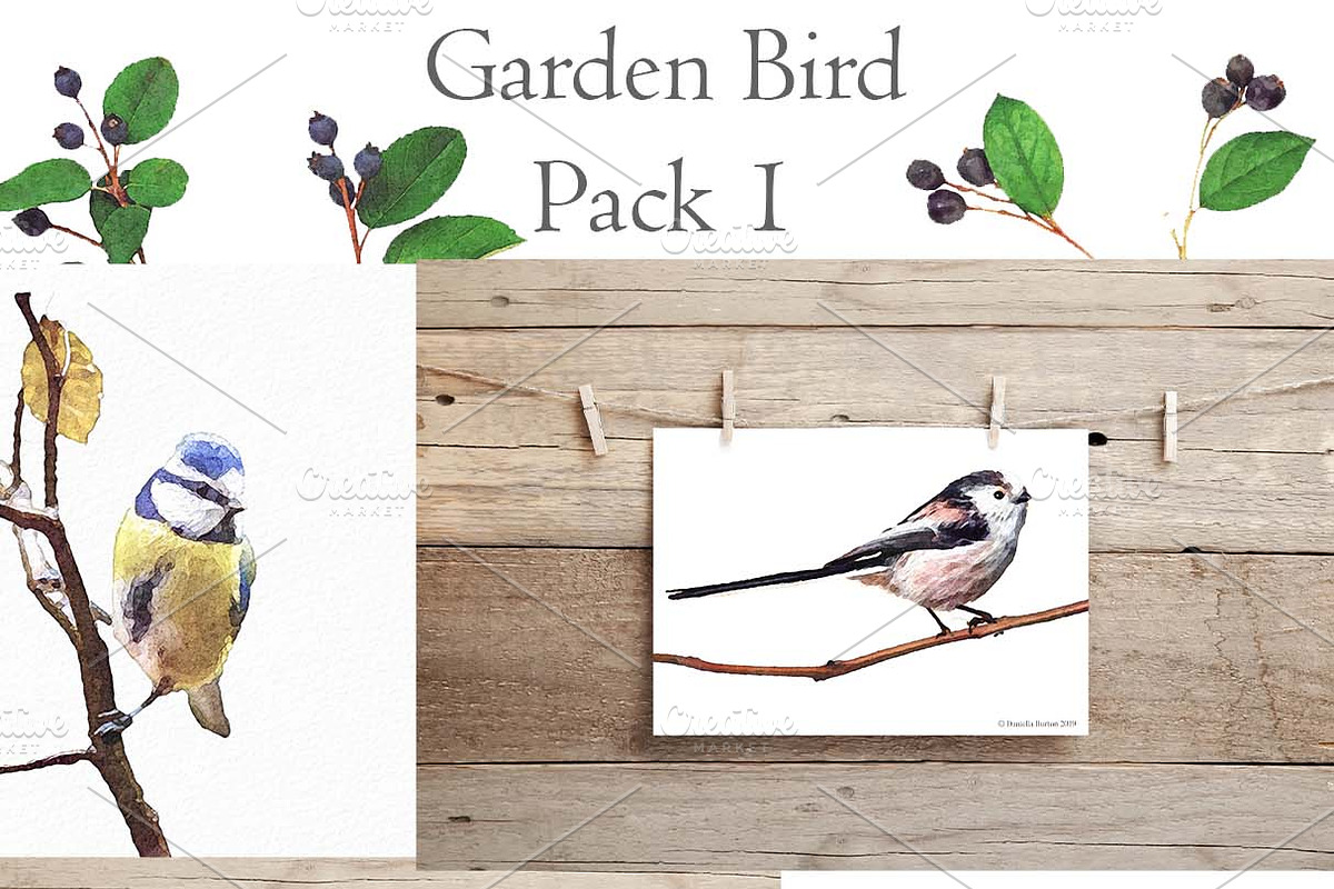 7 Garden Birds- Pack 1, an Illustration by WeavaBird (Photo 1 of 3)
