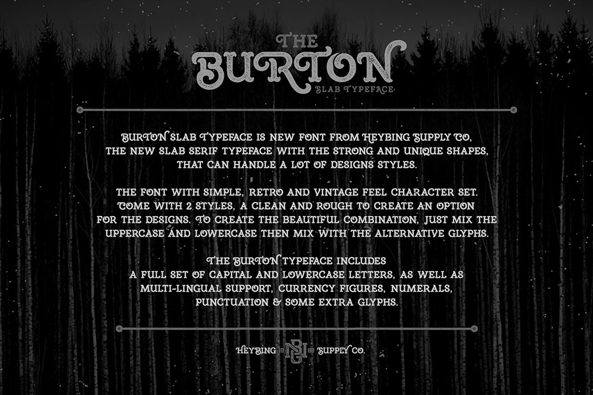 Burton Slab Typeface + Bonus preview 4