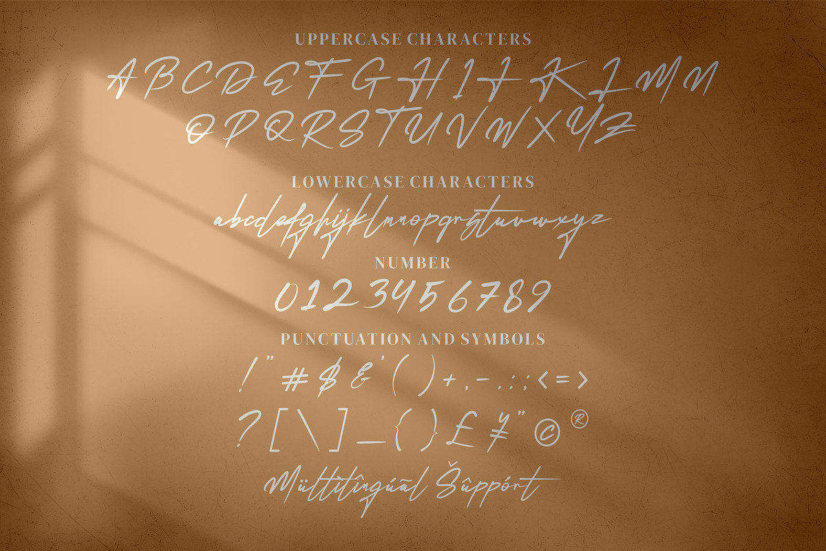 Reillytta Sheilabe Modern signature, a Script Font by mahstudios (Photo 7 of 8)