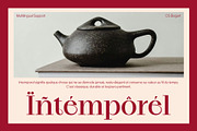 CS Bogart – Aesthetic Font, a Serif Font by Craft Supply Co. (Thumbnail 7 of 8)