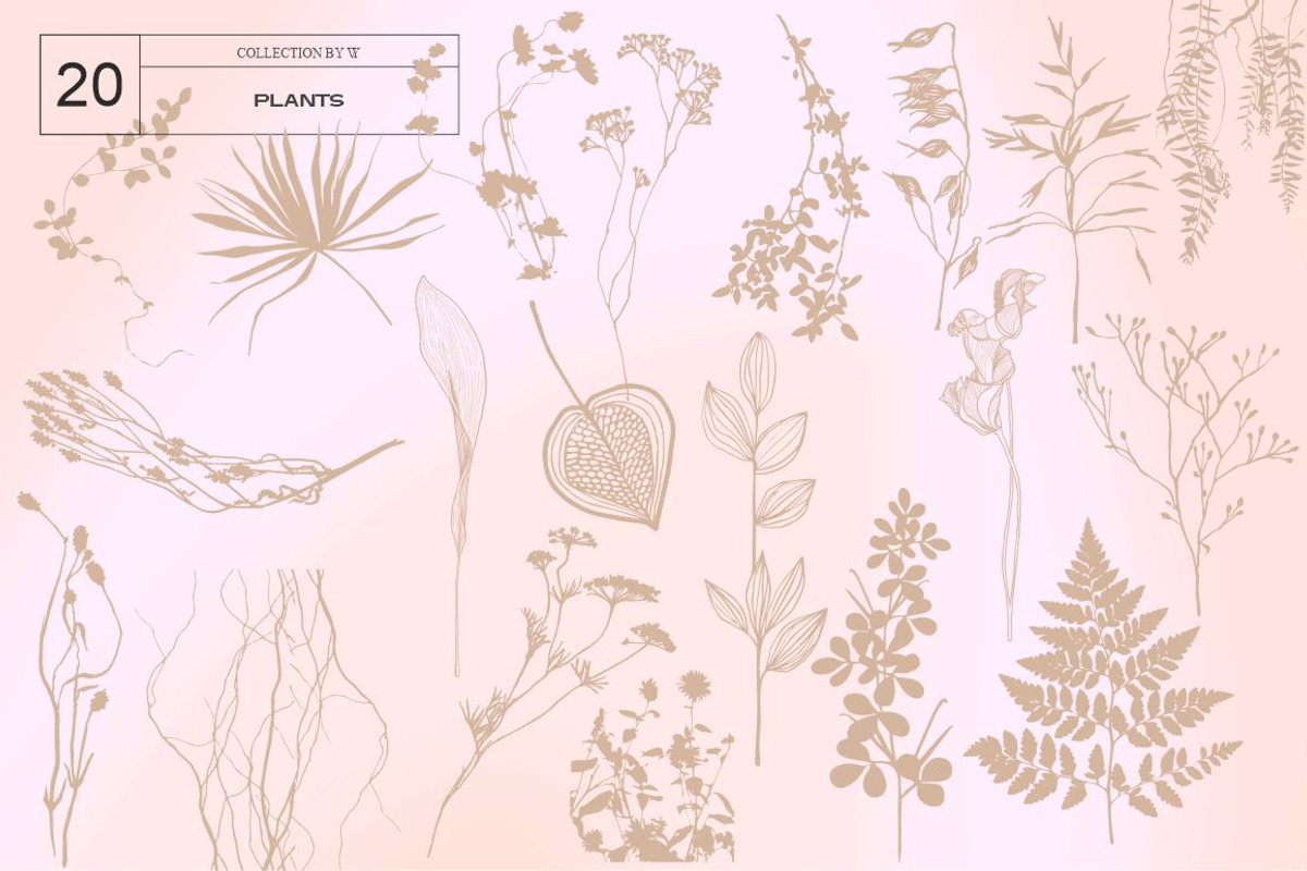 Peach Fuzz, a Background Graphic by Collection by VY (Photo 6 of 8)